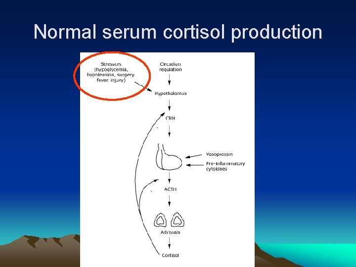 Normal serum cortisol production 