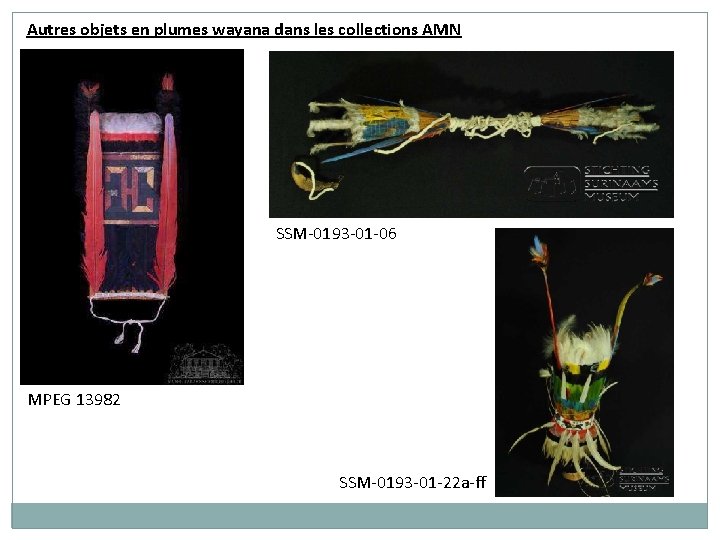 Autres objets en plumes wayana dans les collections AMN SSM-0193 -01 -06 MPEG 13982