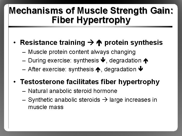 Mechanisms of Muscle Strength Gain: Fiber Hypertrophy • Resistance training protein synthesis – Muscle