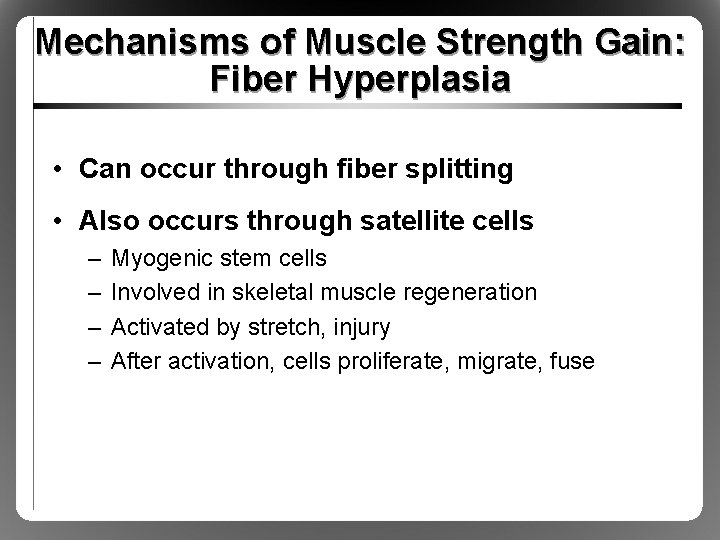 Mechanisms of Muscle Strength Gain: Fiber Hyperplasia • Can occur through fiber splitting •