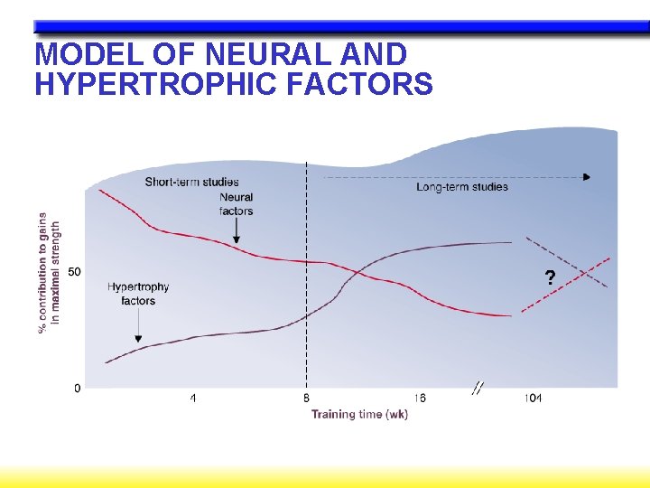 MODEL OF NEURAL AND HYPERTROPHIC FACTORS 