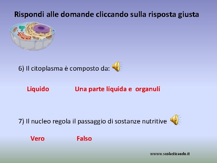 Rispondi alle domande cliccando sulla risposta giusta 6) Il citoplasma è composto da: Liquido