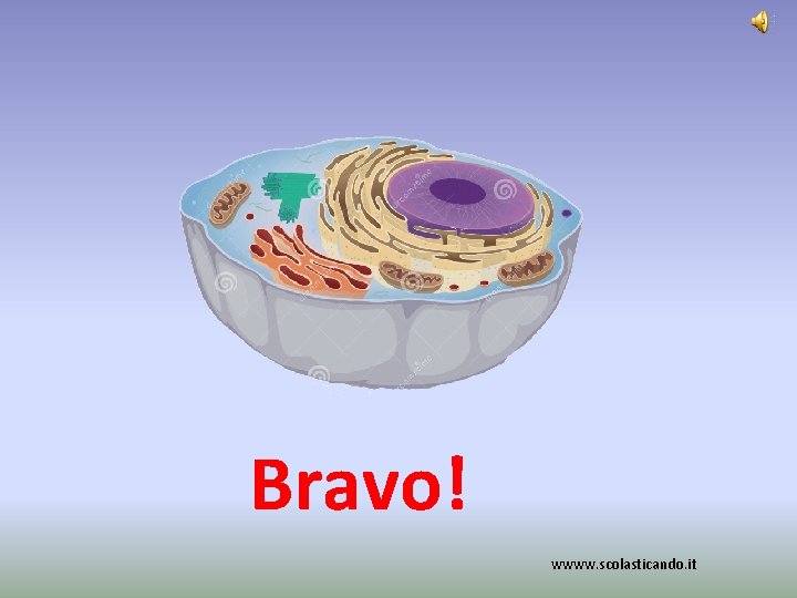 Bravo! wwww. scolasticando. it 