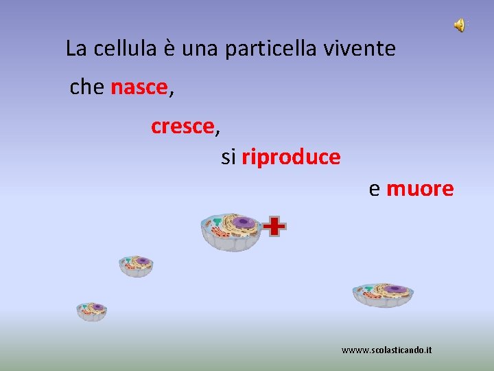 La cellula è una particella vivente che nasce, cresce, si riproduce e muore wwww.