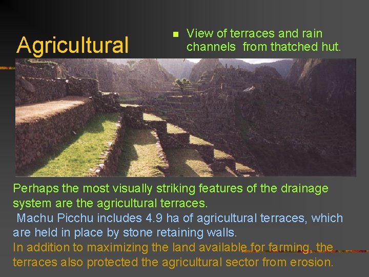 Agricultural n View of terraces and rain channels from thatched hut. Perhaps the most