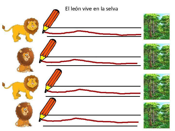 El león vive en la selva 