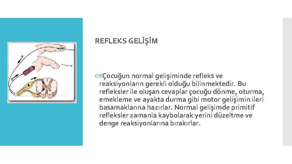 REFLEKS GELİŞİM Çocuğun normal gelişiminde refleks ve reaksiyonların gerekli olduğu bilinmektedir. Bu refleksler ile