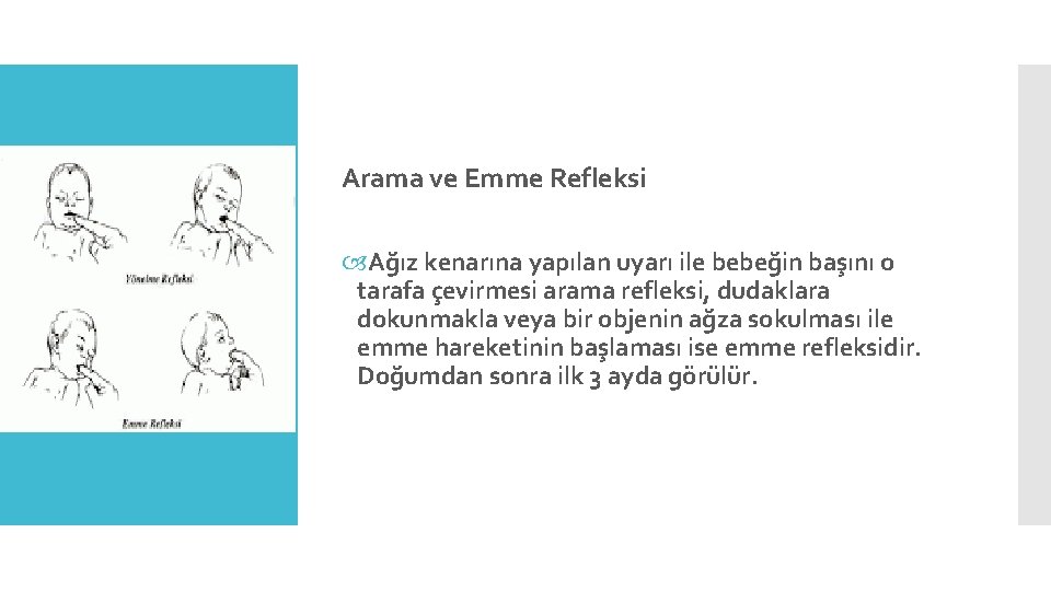 Arama ve Emme Refleksi Ağız kenarına yapılan uyarı ile bebeğin başını o tarafa çevirmesi