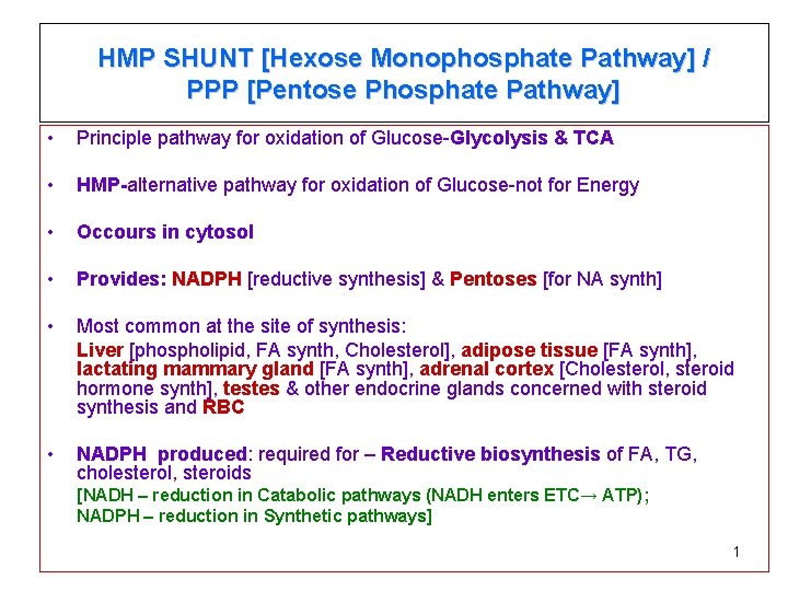 HMP SHUNT [Hexose Monophosphate Pathway] / PPP [Pentose Phosphate Pathway] • Principle pathway for