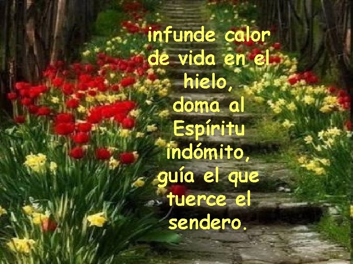 infunde calor de vida en el hielo, doma al Espíritu indómito, guía el que