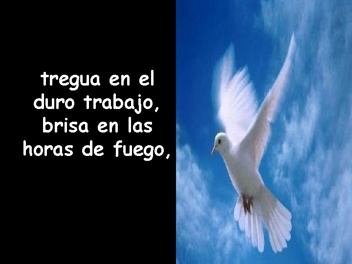 tregua en el duro trabajo, brisa en las horas de fuego, 