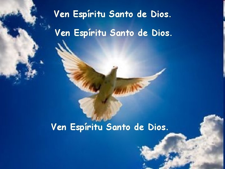 Ven Espíritu Santo de Dios. 