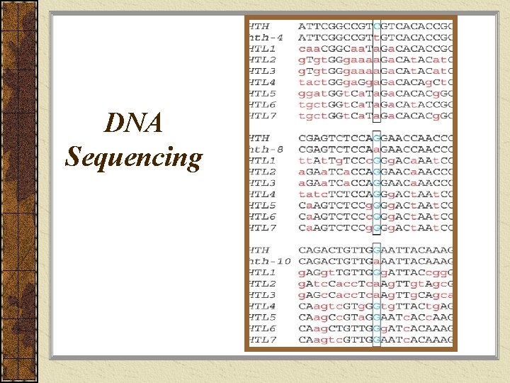 DNA Sequencing 