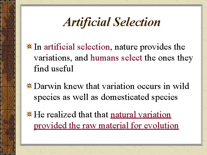 Artificial Selection In artificial selection, nature provides the variations, and humans select the ones