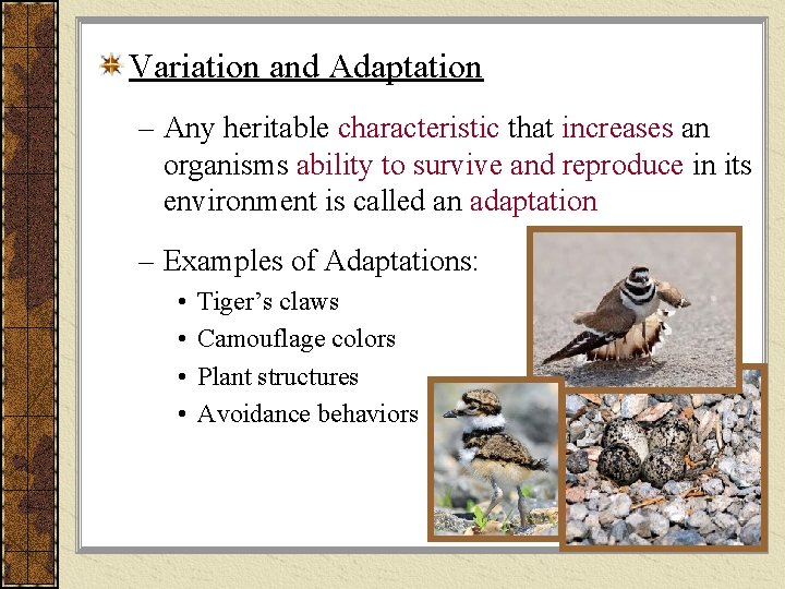 Variation and Adaptation – Any heritable characteristic that increases an organisms ability to survive