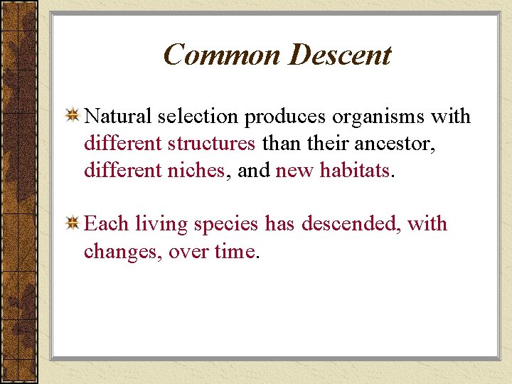 Common Descent Natural selection produces organisms with different structures than their ancestor, different niches,