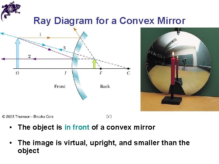 Ray Diagram for a Convex Mirror • The object is in front of a