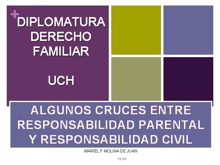 +DIPLOMATURA DERECHO FAMILIAR UCH ALGUNOS CRUCES ENTRE RESPONSABILIDAD PARENTAL Y RESPONSABILIDAD CIVIL MARIEL F
