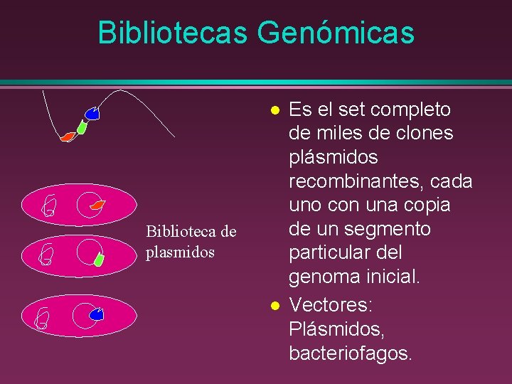 Bibliotecas Genómicas l Biblioteca de plasmidos l Es el set completo de miles de