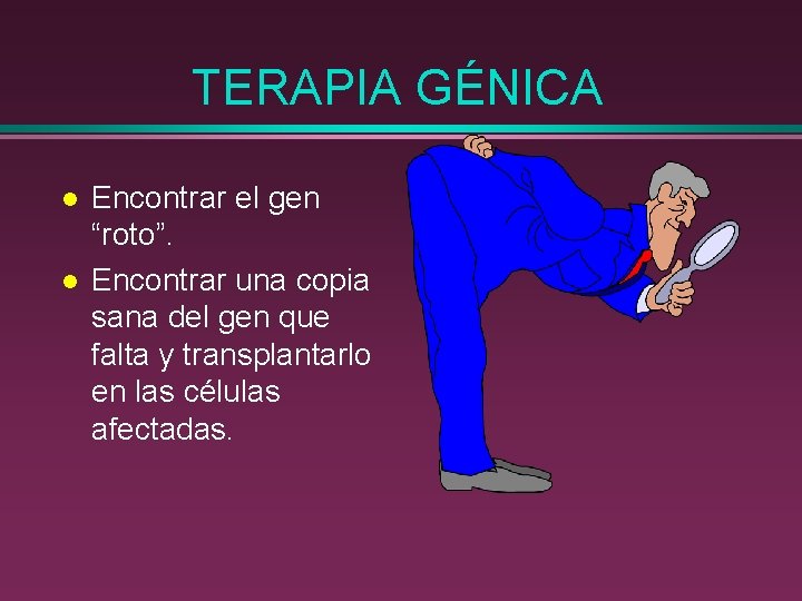 TERAPIA GÉNICA l l Encontrar el gen “roto”. Encontrar una copia sana del gen