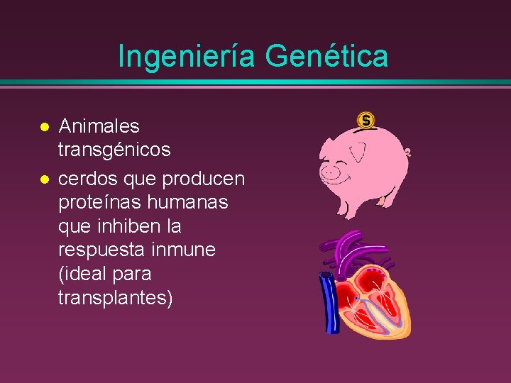 Ingeniería Genética l l Animales transgénicos cerdos que producen proteínas humanas que inhiben la