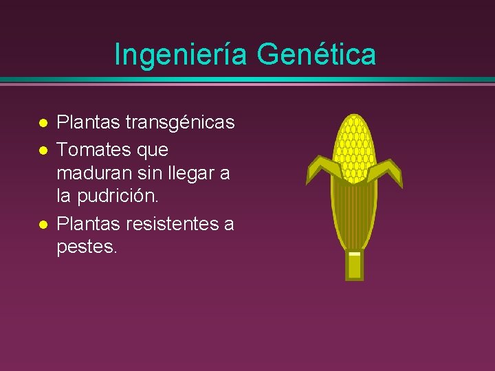 Ingeniería Genética l l l Plantas transgénicas Tomates que maduran sin llegar a la