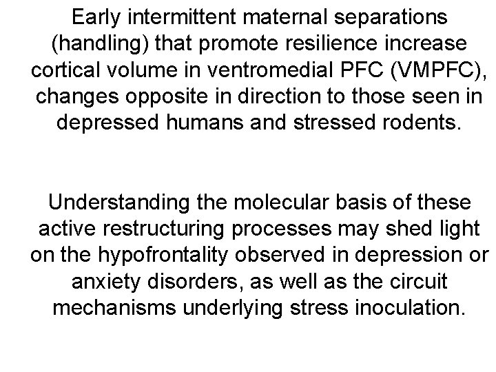 Early intermittent maternal separations (handling) that promote resilience increase cortical volume in ventromedial PFC