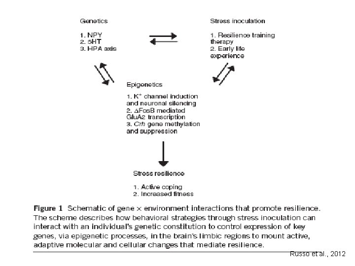 Russo et al. , 2012 