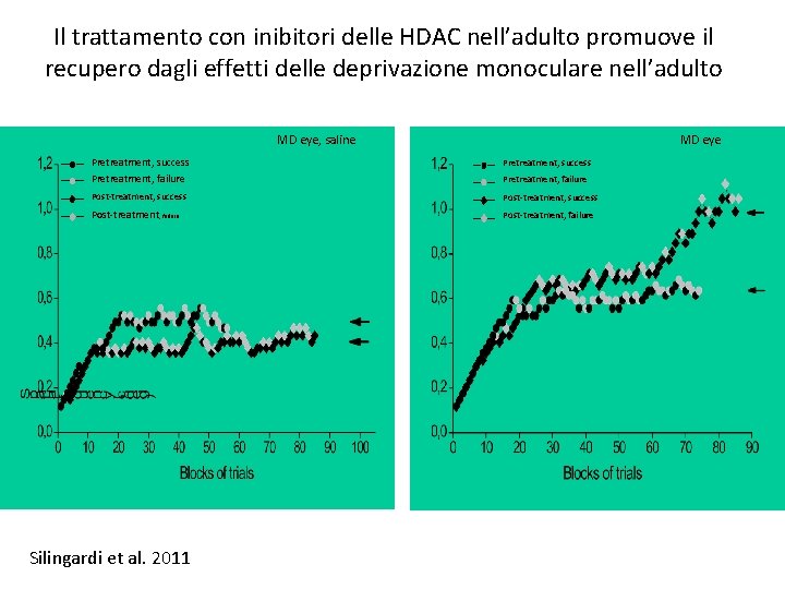 Il trattamento con inibitori delle HDAC nell’adulto promuove il recupero dagli effetti delle deprivazione