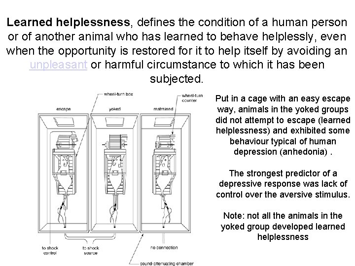 Learned helplessness, defines the condition of a human person or of another animal who