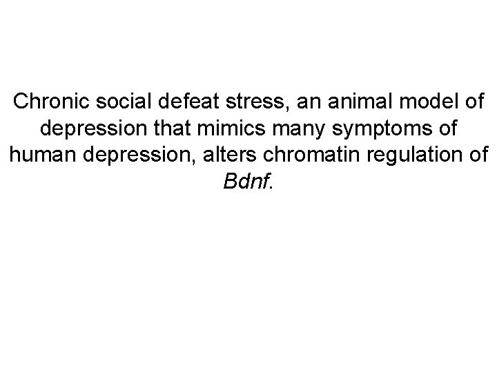 Chronic social defeat stress, an animal model of depression that mimics many symptoms of