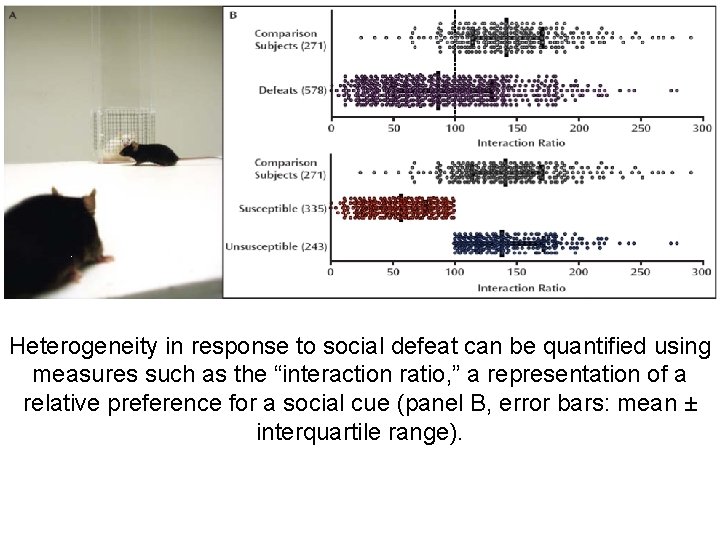Heterogeneity in response to social defeat can be quantified using measures such as the