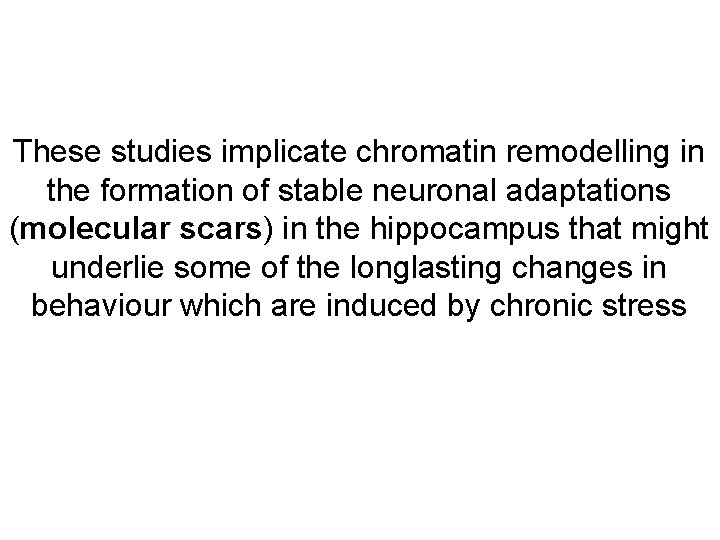 These studies implicate chromatin remodelling in the formation of stable neuronal adaptations (molecular scars)