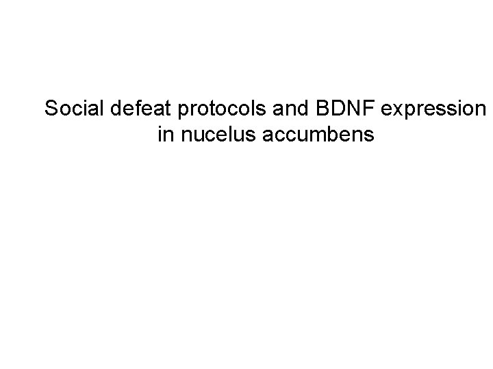 Social defeat protocols and BDNF expression in nucelus accumbens 