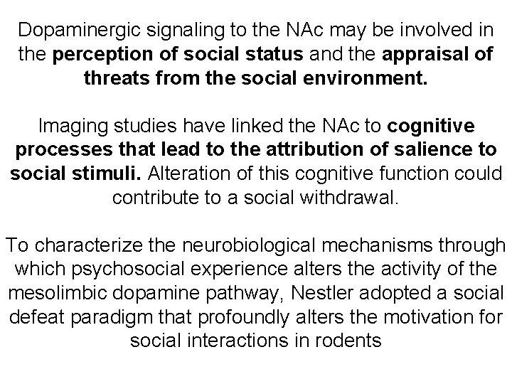 Dopaminergic signaling to the NAc may be involved in the perception of social status