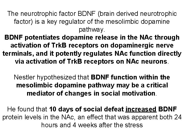 The neurotrophic factor BDNF (brain derived neurotrophic factor) is a key regulator of the