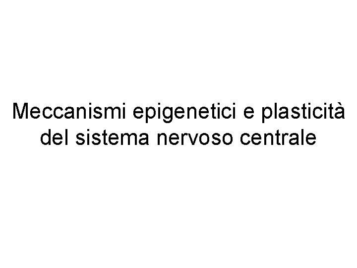 Meccanismi epigenetici e plasticità del sistema nervoso centrale 