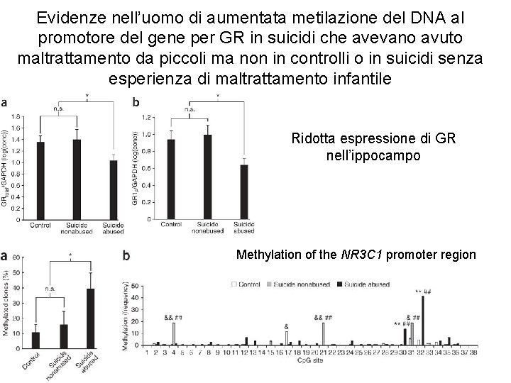 Evidenze nell’uomo di aumentata metilazione del DNA al promotore del gene per GR in