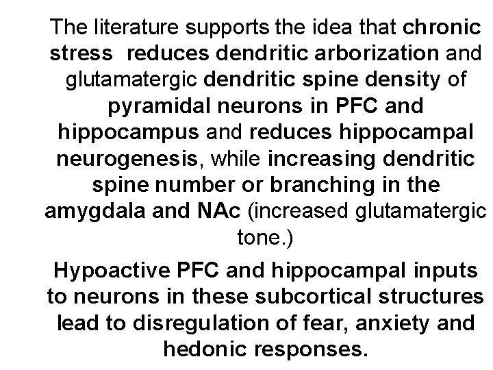 The literature supports the idea that chronic stress reduces dendritic arborization and glutamatergic dendritic