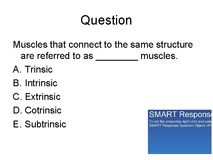 Question Muscles that connect to the same structure are referred to as ____ muscles.