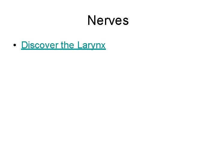 Nerves • Discover the Larynx 