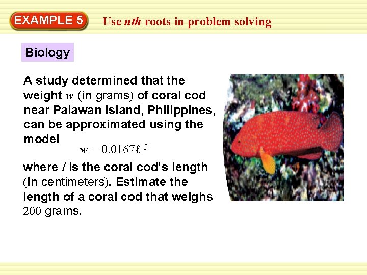 EXAMPLE 5 Use nth roots in problem solving Biology A study determined that the