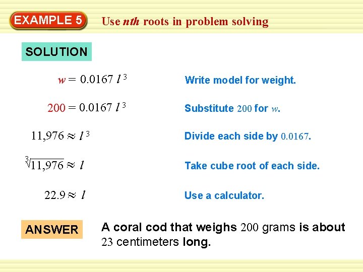 EXAMPLE 5 Use nth roots in problem solving SOLUTION w = 0. 0167 l