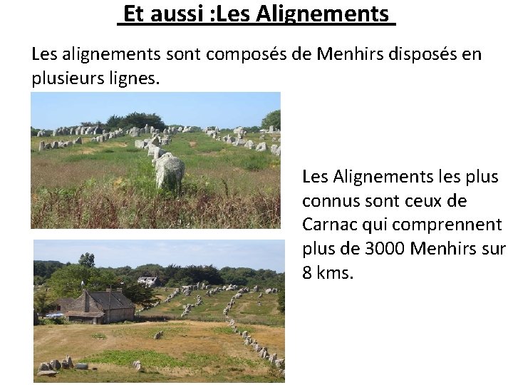  Et aussi : Les Alignements Les alignements sont composés de Menhirs disposés en