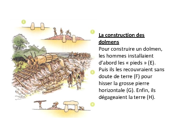 La construction des dolmens Pour construire un dolmen, les hommes installaient d’abord les «