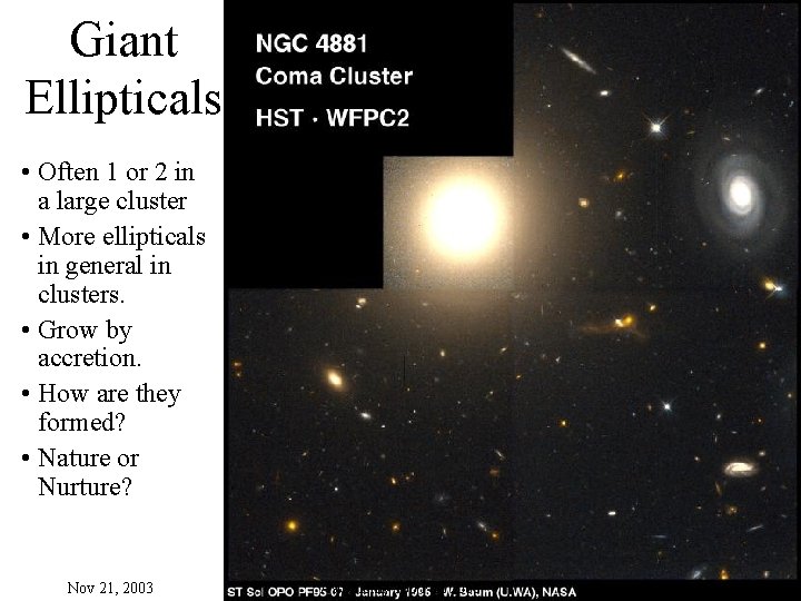 Giant Ellipticals • Often 1 or 2 in a large cluster • More ellipticals