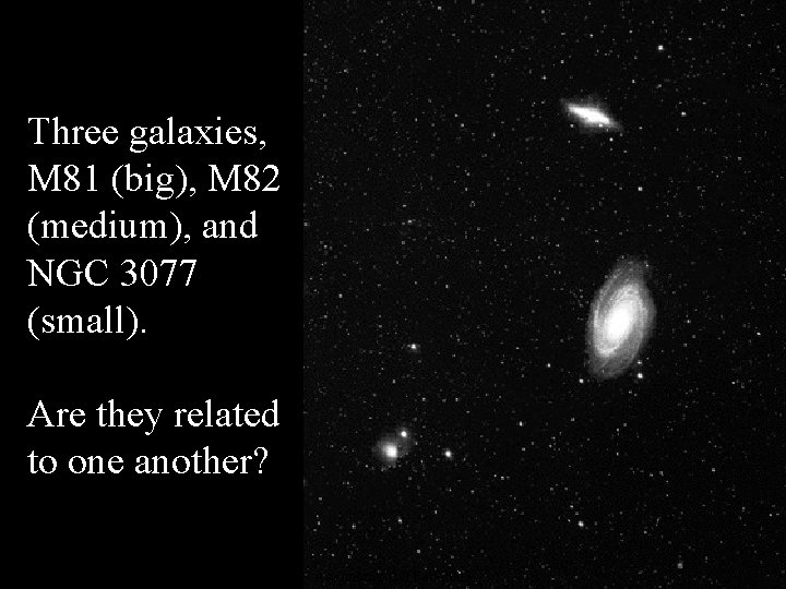 Three galaxies, M 81 (big), M 82 (medium), and NGC 3077 (small). Are they