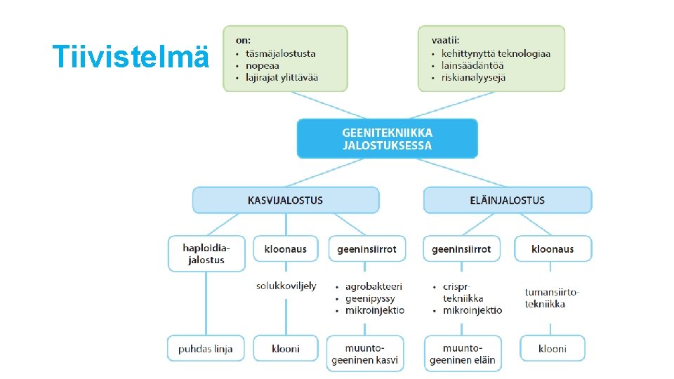 Tiivistelmä 