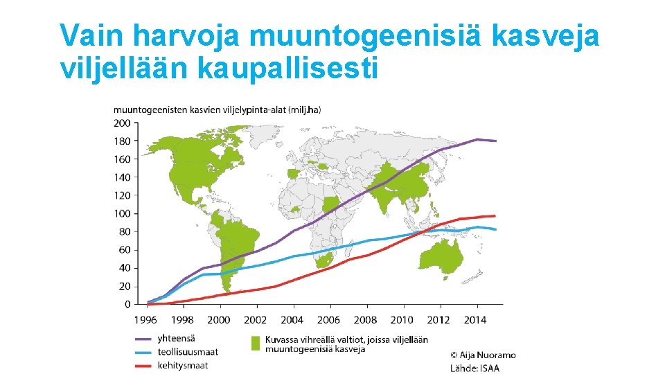 Vain harvoja muuntogeenisiä kasveja viljellään kaupallisesti Vain harvoja muuntogeenisiä kasveja viljellään kaupallisesti
