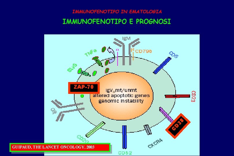 IMMUNOFENOTIPO IN EMATOLOGIA IMMUNOFENOTIPO E PROGNOSI C D 38 ZAP-70 GUIPAUD, THE LANCET ONCOLOGY,